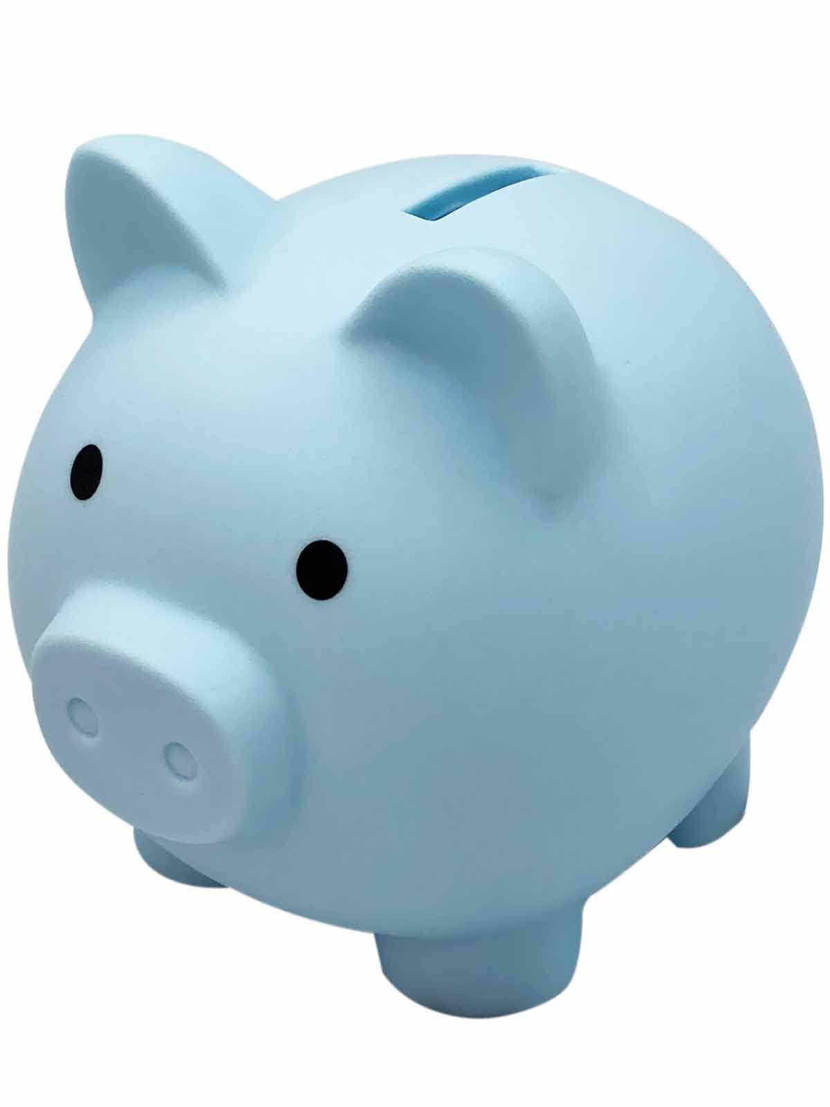 Amazon.co.jp: 貯金箱 かわいい 豚 500円 子供 500円玉 ブタさん