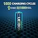 letoom Lithium AA Batteries Rechargeable 8 Pack with Charger 1.5V, 2800mWh 2-Hour Fast Charge Compatible with Camera Batteries, Xbox, and Toys