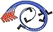 NGK (52030) RC-FDZ089 Spark Plug Wire Set