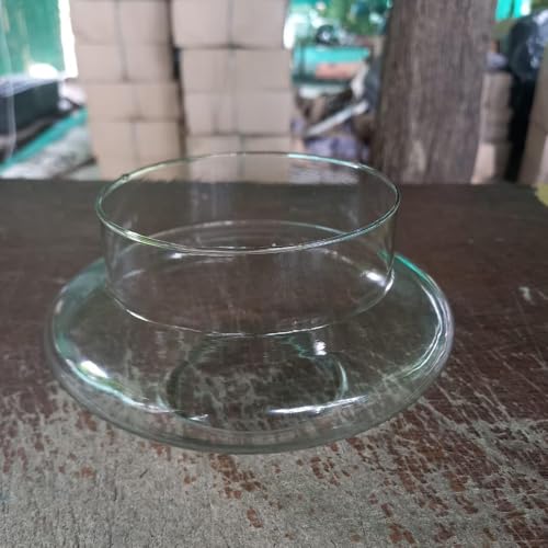 Image of Clear Glass Bowl Planter for Lucky Bamboo & Money Plant (6 Inch) | Round Transparent Glass Pot for Indoor Water Plants | Decorative Tabletop Vase Container for Home Office Plant Decor