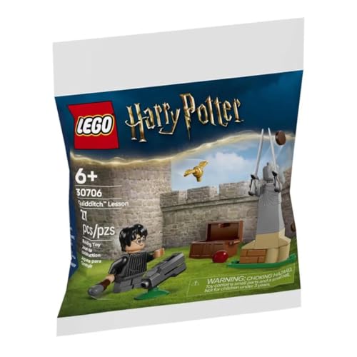 LECON DE QUIDDITCH HPOTTER Lego LEG30706 - vue 4