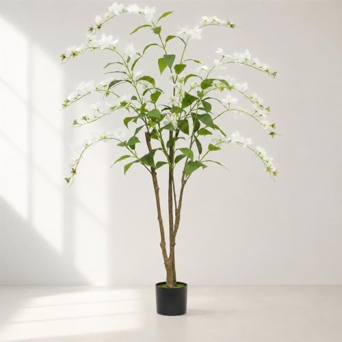 ジャスミン 鉢植え」の人気商品一覧・価格比較 - 価格.com
