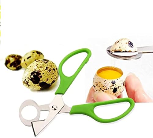 Miniatura 3 de Latrat Cortador De Huevos De Codorniz Y Paloma, 10 Unidades, Herramienta Para Abrir Huevos De Codorniz, Cascanueces Para El Hogar, Cocina, Restaurante Verde , Fhjmm20230915-1