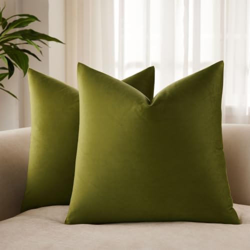 JUSPURBET Velvet Covers 22×22