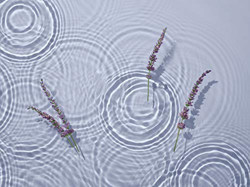 Tea Tree Lavender Mint Deep Conditioning Mineral Hair Mask, Hydrates + Strengthens, For Coarse + Dry Hair, (Set of 6)