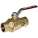 Legend Valve 101-515NL Forged Brass Full Port Ball Valve, Drain, No Lead, 2.2"x3.8"x3.1"