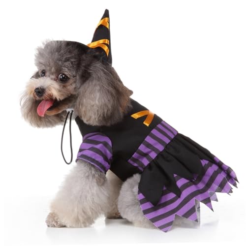 Disfraz de bruja para perro talla S Halloween ORFOFE