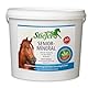 Stiefel Senior-Mineral hochwertige Versorgung mit Mineralstoffen Spurenelementen Vitaminen Grundmineralisierung Mineralfutter für alte Pferde 3 kg Eimer