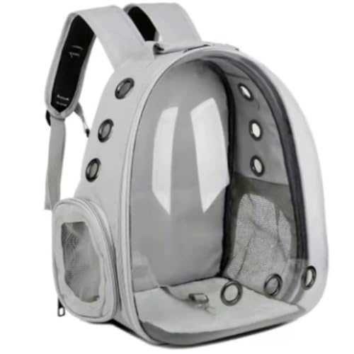 KuBen L L[obO Lp ܂肽 pbht  o MO[ FDJvZ^ bNTbN ʋC e ϋv S (O[)