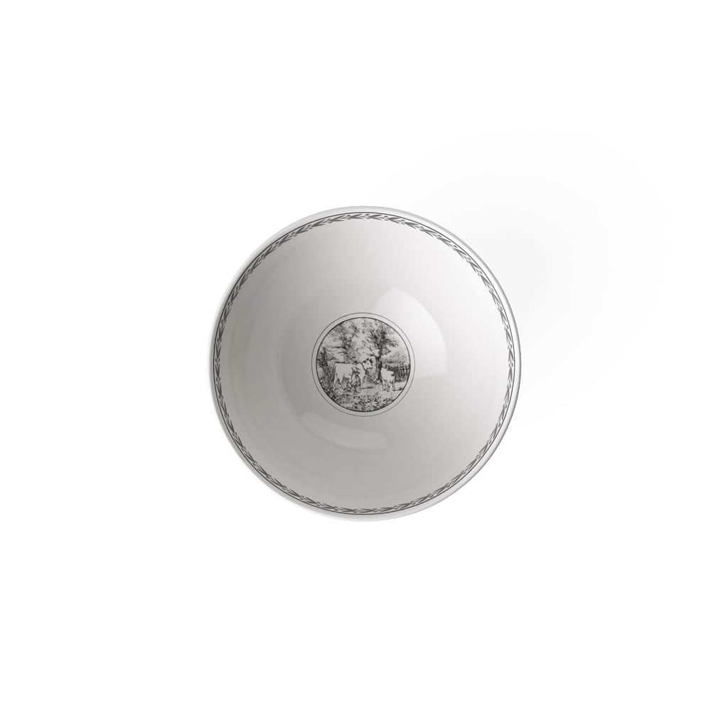 Amazon.com | Villeroy & Boch Audun Ferme Individual Bowl