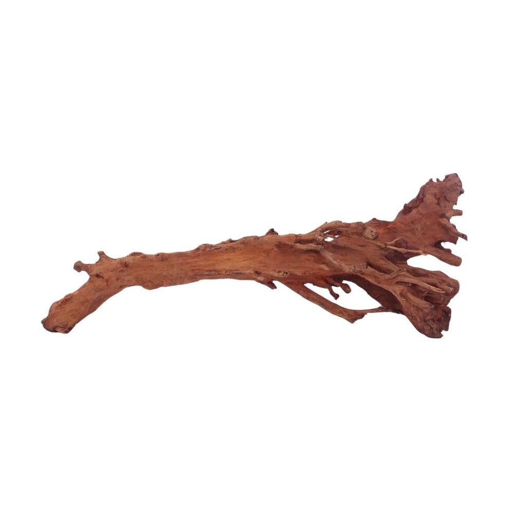 AquaOne Aquarium Wurzel M Jungle Wood Nr.4467 Aquarium Wurzel Holz Deko Aquascaping Dekoration Landschaft Moos Natur Echtholz