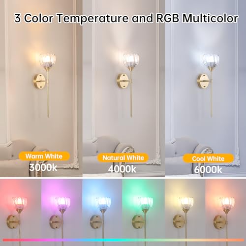 Image of Shenmoyl Battery Operated Wall Sconce Set of 2, Clear Tulip Vintage Wall Light Fixture Rechargeable 5000mAh Battery Powered Wall Lamp with Remote for Living Room Bathroom