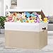 Gowee Large Toy Storage Box with Lid, Sturdy Toys Storage Chest Bin Organizer Basket with Dividers for Kids, Boys, Girls, Nursery, Closet, Bedroom, Playroom 26