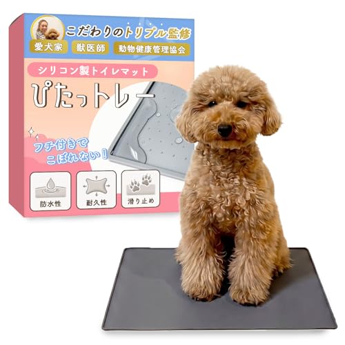 WANSTE ぴたっトレー シリコン製 Sサイズ