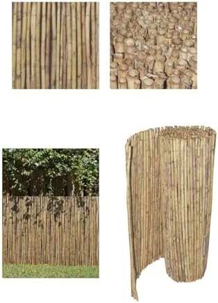 JARDIN202 - Cañizo Grueso Nacional | Cerramiento de terrazas y jardín | Val...