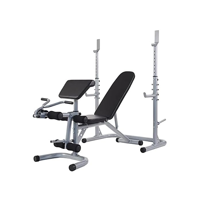 Buy Powergainz Elegainz EGZ3000 Adjustable Olympic Workout Bench with