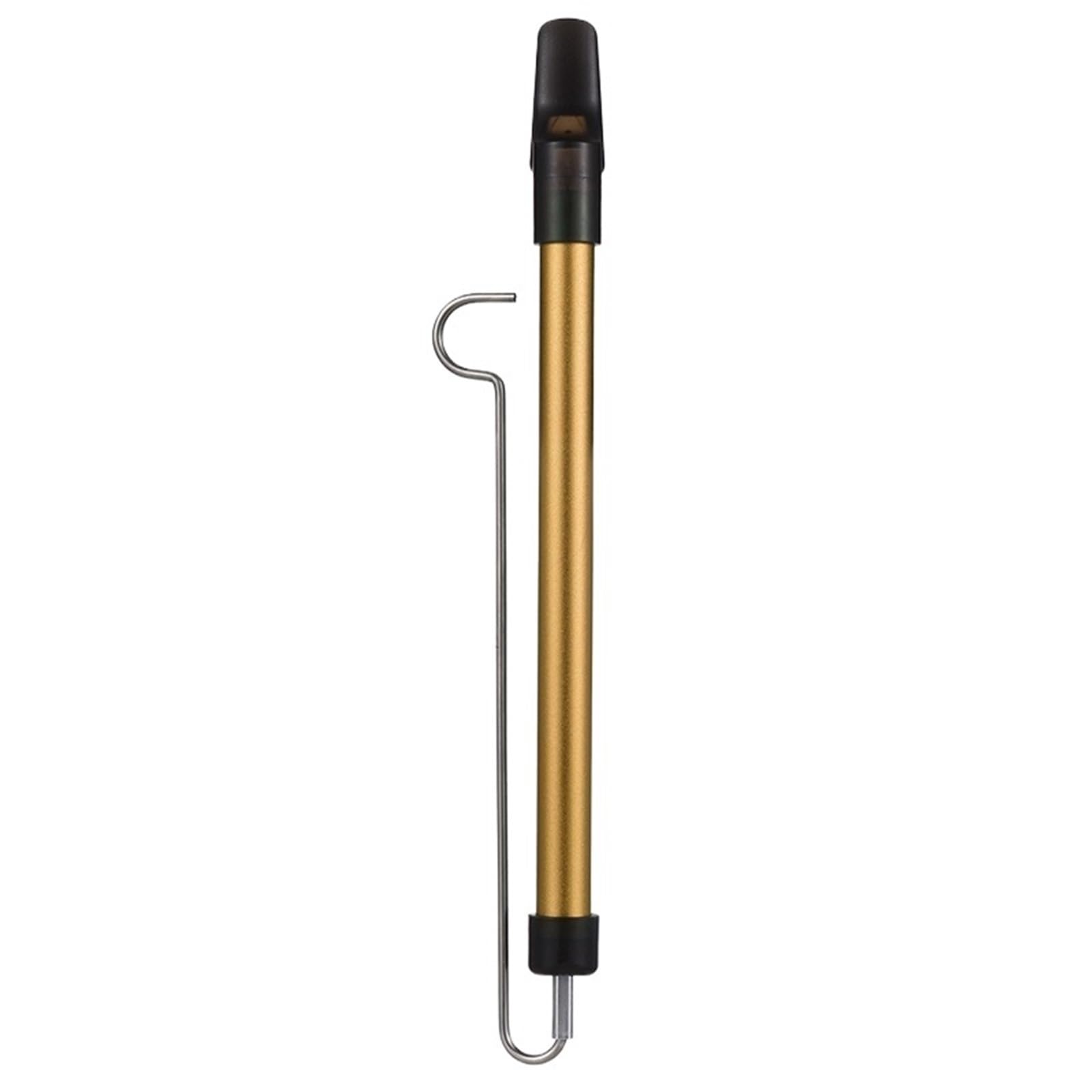 Flauto A Pistone Flauto scorrevole con scala a fischio in metallo strumento musicale asta in acciaio Strumento Educazione Musicale(Gold)