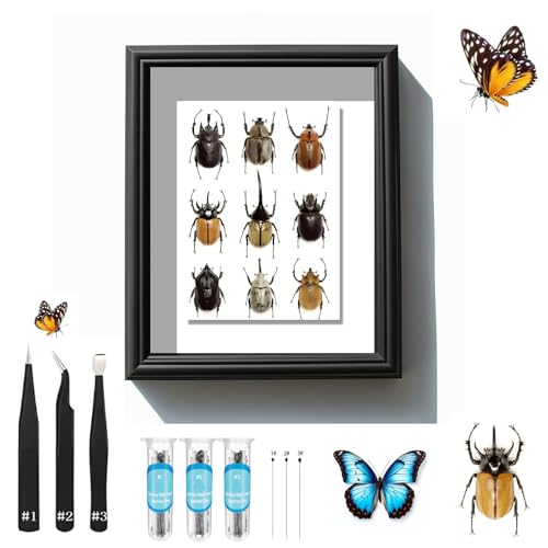 Image of Butterfly Specimen Kit Includes pins, mounting Board, Spreading Tools, Display case, Labels, Forceps, Preserving and showcasing Butterfly specimens.Shadow Boxes (BIACK-01) (WHITE-01)