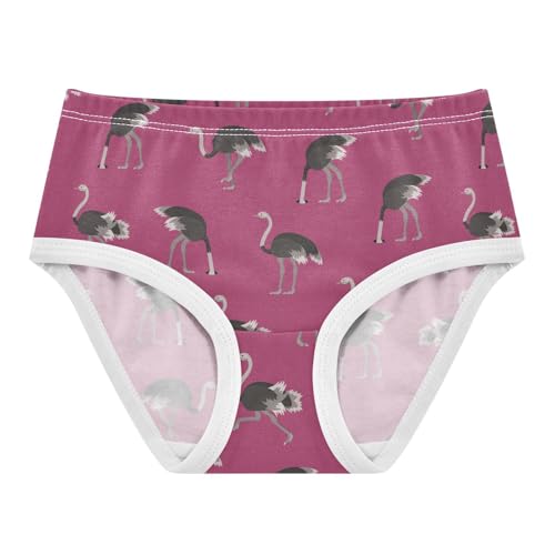 Little Girl Underwear Toddler Panties Kids Undies Ostrich Soft Cotton Briefs 2T-8Y