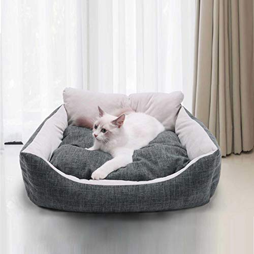 longrep Katzenzwinger, Winter Plüsch Winterstand Wurf Matt Amazon Hot Cat Katze Wurf Personal Liefert