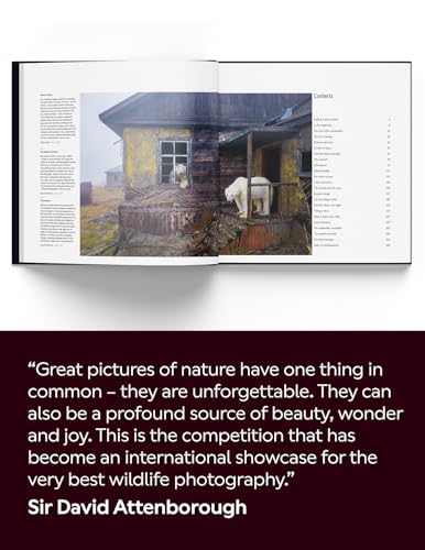 60 Years of Wildlife Photographer of the Year: How Wildlife Photography Became Art – vue 2