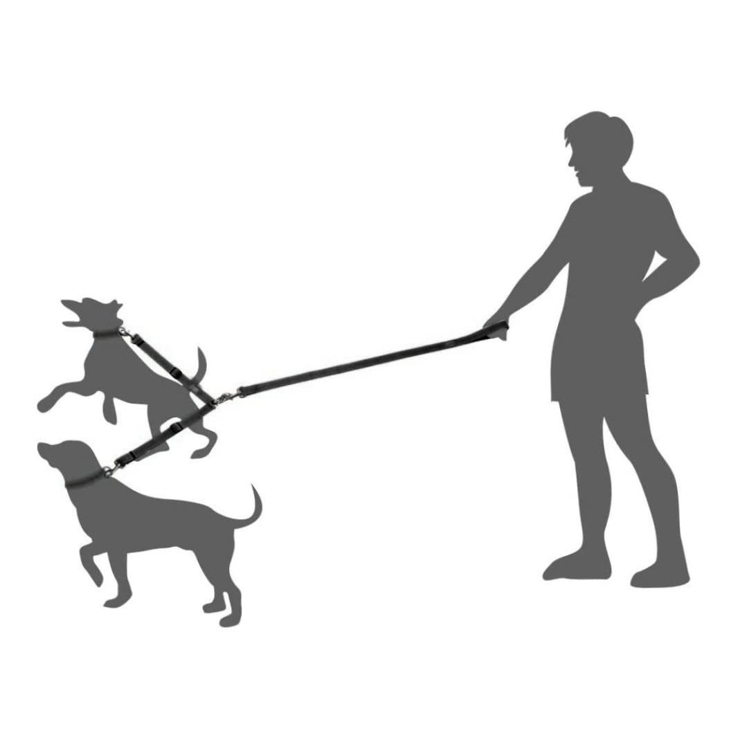 Guinzaglio per Animali Domestici Regolabile con accoppiatore per guinzaglio Doppio per Cani, nessun groviglio per Due Cani Che camminano per Uso Domestico