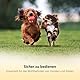 Thunderpaws Professionelle Krallenschere für Hunde mit Schutz, Sicherheitsschloss und Nagelfeile (Mittel bis Groß, Grün)