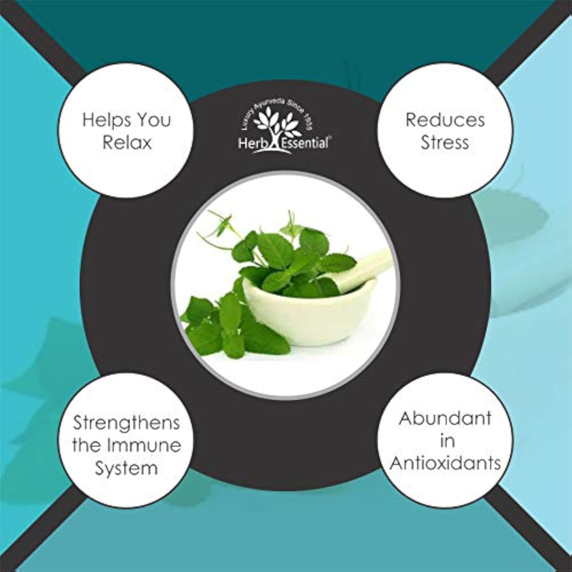 Pure Tulsi (Holy Basil) Powder, 50g