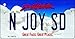 SMART BLONDE N Joy SD South Dakota Metal Novelty Aluminum Key Chain KC-9979