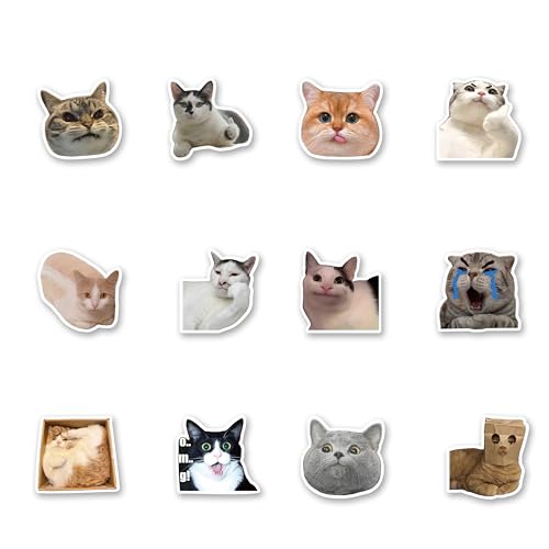 12 imanes decorativos redondos de gato divertido miniatura 7