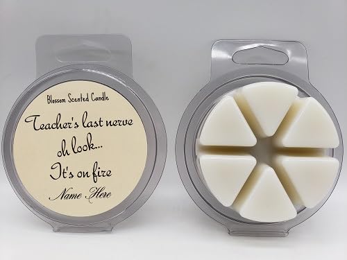 Best Teacher Gifts for WomenMen Wax MeltsTarts (Key Lime Pie)