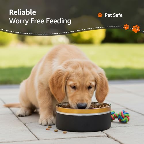 Image of Amazon Basics Premium Double Wall Pet Bowl for Dogs & Cats |Anti Slip Base | 2200 ml