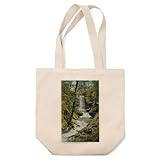 Lantern Press Utica, Illinois, Starved Rock State Park View of Pontiac Canyon and Falls (100% Cotton Canvas Reusable Tote Bag)