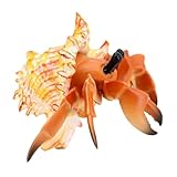 Realistico di paguro: può essere utilizzato come giocattolo per o posizionato nella cameretta dei come ornamento decorativo, ornamento di animali marini
