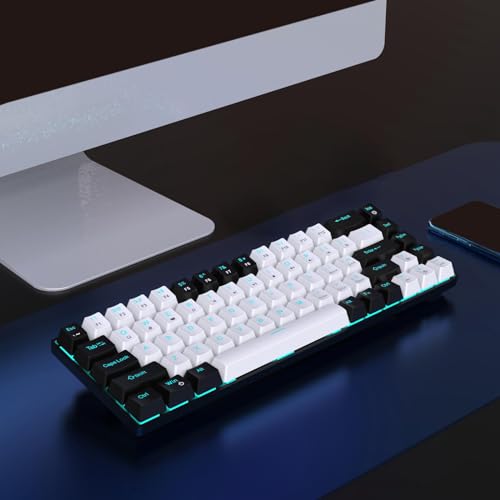 Clavier mécanique remplaçable à chaud 19 modes d'éclairage LED périphérique PC Gamer