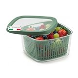 Snips | Aroma Keeper | Contenitore Per Cibi | Salva Aroma | 1,50 LT Quadrato | Griglia Interna | Chiusura Ermetica | Colore Verde| Made in Italy | Bpa Free, VERDE, 1,50 L