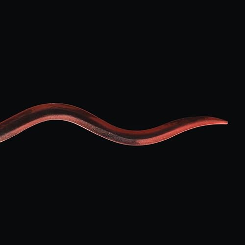 Miniatura 6 de Sword Valley Anime Cosplay Props Iguro Obanai Sword-Red Version, Adopts Original Textures with Exquisite Details