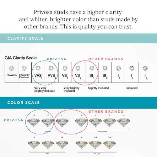 Image of Privosa - Lab Grown Diamond Stud Earrings in 14K Gold