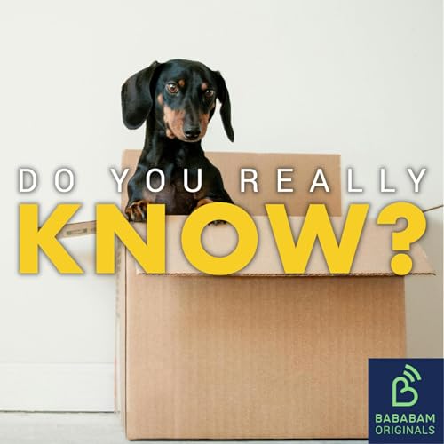 How can I move house stress-free?