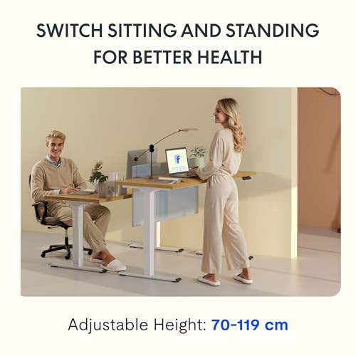 Höhenverstellbarer Schreibtisch von Flexispot mit 2 Motoren und 25 mm Tischplatte