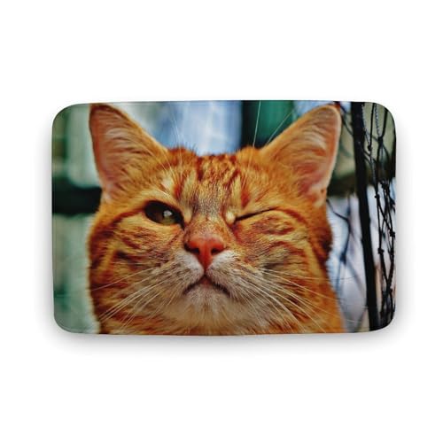 L   oX}bg \tg􂦂 z  փ}bg  O   \ ~ Aj LN^[ @}bg   ʏ