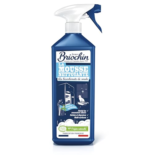 JACQUES BRIOCHIN DROGUISTE DESDE 1919 – Limpiador antiolores – Con bicarbonato de sodio – Textura de espuma – Perfume Verbena, multiusos – Secado rápido – Ecocert – Fabricación francesa – 750 ml