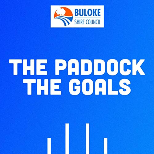 The Paddock The Goals cover art