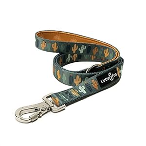 Lucy & Co. 5 Foot Designer Dog Leash –Leash for Small, Medium or Big Dogs or Puppies Puppy Leash – Pet Accessories & Supplies (Looking Sharp, Large) Lucy Co 5 Foot Designer Dog Leash Leash for Small Medium or Big Dogs or Puppies Puppy Leash–Pet Accessories Supplies Looking Sharp Large