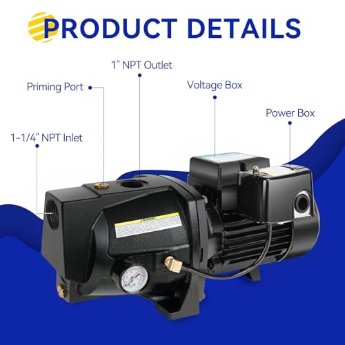 Image of Acquaer Shallow Well Jet Pump,Cast Iron, Well Depth Up to 25ft, 115V /230V Dual Voltage, Automatic Pressure Switch