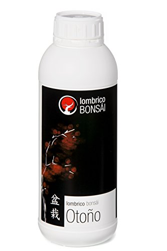 Lombrico Bonsái Otoño 1L