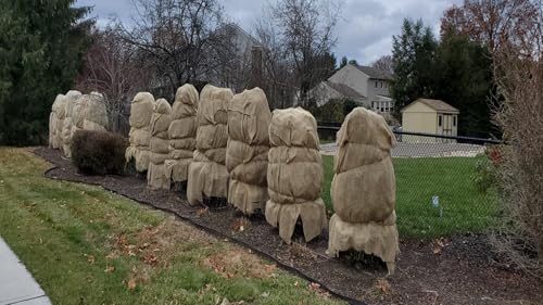 Premium 40-Inch x 300-Feet Burlap Fabric Roll - 10oz Jute Cloth for Versatile Gardening, Crafting, and DIY Projects 8 Premium 40-Inch x 300-Feet Burlap Fabric Roll - 10oz Jute Cloth for Versatile Gardening, Crafting, and DIY Projects - Image 7