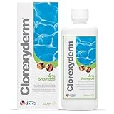 ICF | Clorexyderm 4% Shampoing Chien | Shampooing Chien Antiseptique, Hydratant et Anti Od...