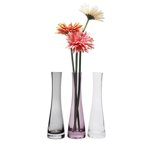 ComSaf 8.5 Inch Small Bud Vase, Glass Flower Vase for Home Decor Centerpieces