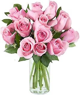 Arabella Farm Direct Bouquet of 12 Fresh Cut Pink Roses with a Free